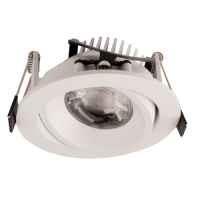 Apollo DW Downlight