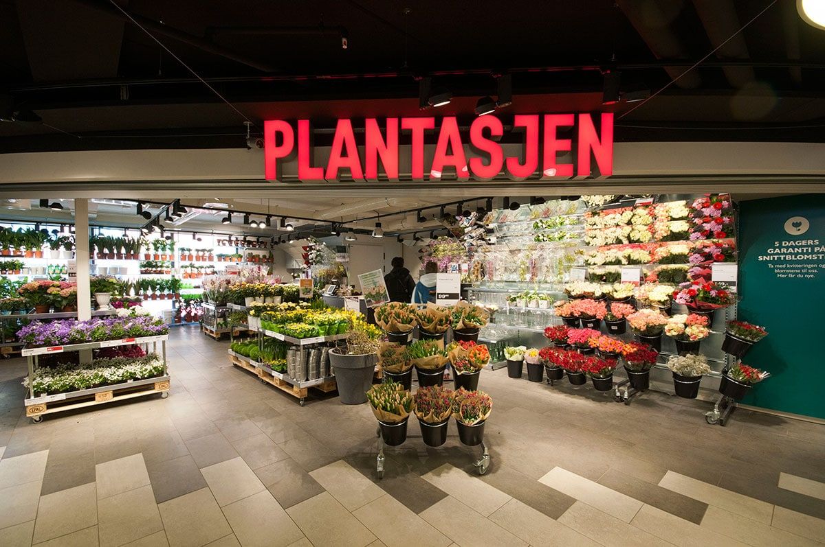 Butikkbelysning Kasse på Plantasjen St. Haugen