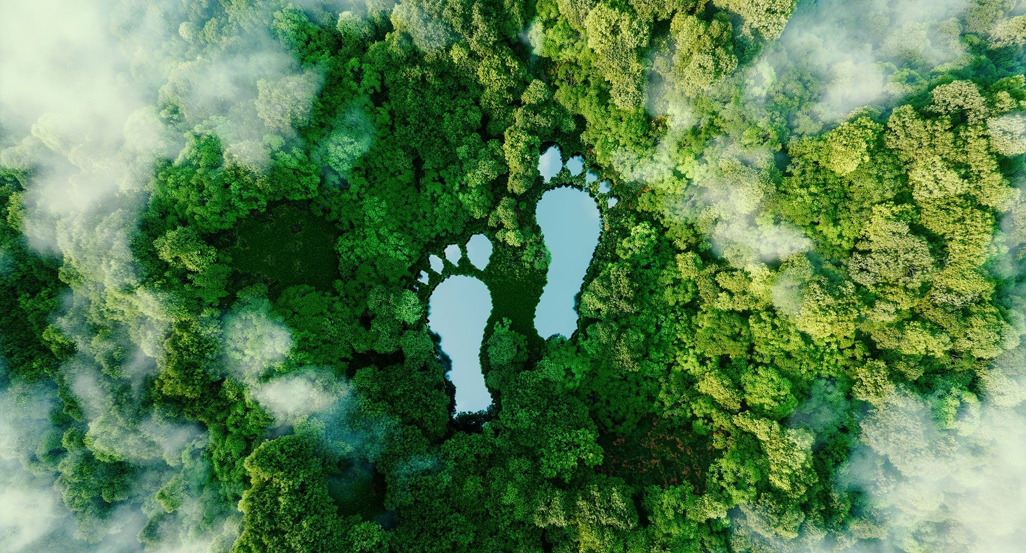 CarbonFootprint