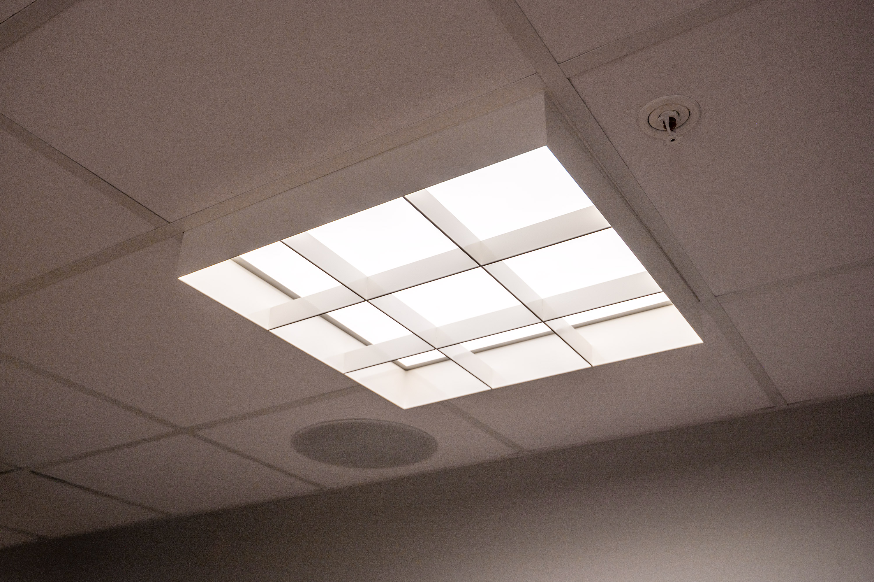 Retrofit og spesialdesignede lysflåter